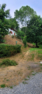 Photo de galerie - Débroussailler un talus 