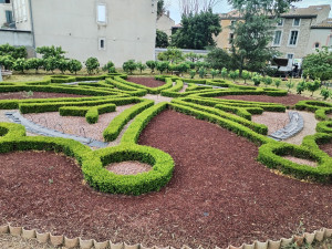 Photo de galerie - Art topiaire
