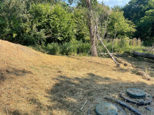 Photo de galerie - Débroussaillage d’un terrain 