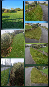 Photo de galerie - Taille de haie et Debroussaillage de fossé avant et après.