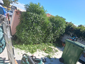 Photo de galerie - Jardinier