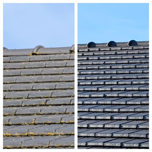 Photo de galerie - Couverture - Toiture