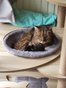 Photo de galerie - Je garde chez moi l adorable Vaguelette de 19 ans