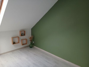 Photo de galerie - Pièce refaite entièrement du sol au plafond 