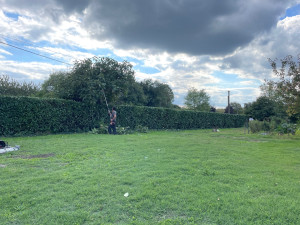 Photo de galerie - Taille d’une haie de 200 mètres linéaires 