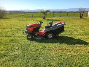 Photo de galerie - Tonte de pelouse