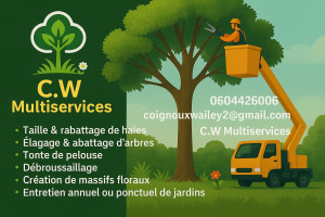 Photo de galerie - Carte de visite 