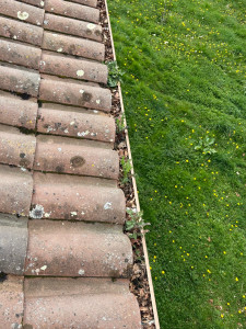 Photo de galerie - Nettoyage de gouttière