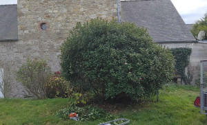 Photo de galerie - Avant 