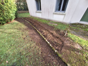 Photo de galerie - Taille de haies et d'arbustes