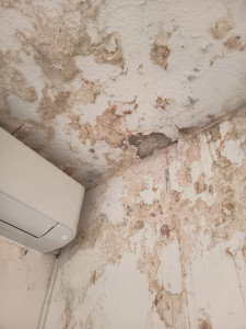 Photo de galerie - Changement placo suite dégât de eaux
