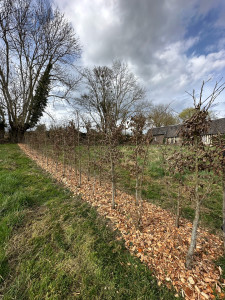 Photo de galerie - Paillages 