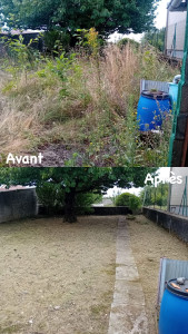 Photo de galerie - Jardin / Espace vert