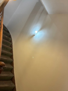 Photo de galerie - Peinture - Tapisserie