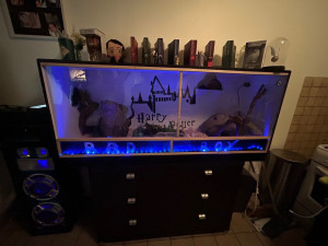 Photo de galerie - Création d’un terrarium sur mesure