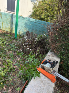 Photo de galerie - Elagage et coupe d'arbres