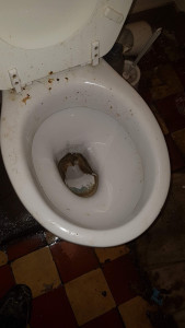 Photo de galerie - Débouchage 