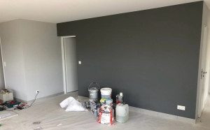 Photo de galerie - Peinture / Enduit