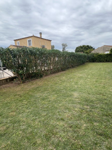 Photo de galerie - Tonde & taille de haie  