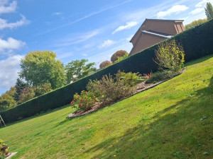 Photo de galerie - Taille