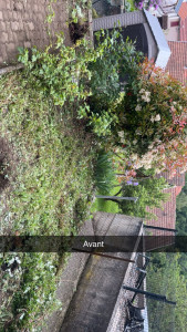 Photo de galerie - Paysagiste - Aménagement du jardin