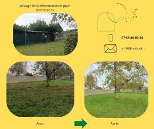 Photo de galerie - Tonte de pelouse 
