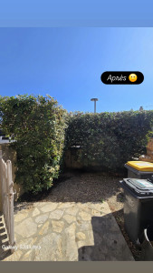 Photo de galerie - Haie de troene