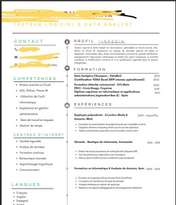 Photo de galerie - Example CV