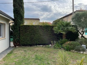 Photo de galerie - Taille à la cisaille d’une haie de laylandii 