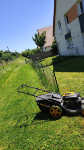 Photo de galerie - Tonte