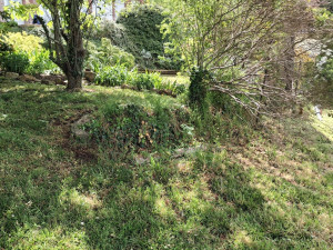 Photo de galerie - Tonte de pelouse - Débroussaillage