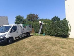 Photo de galerie - Bonjour, élagage abattage d’arbres, tonte de pelouse, taille de haie tous travaux jardin