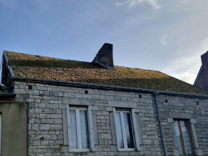 Photo de galerie - Démoussage de toiture Avant!