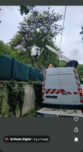 Photo de galerie - Arbre dangereux avec fil à haute tension 