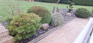 Photo de galerie - Taille en forme de boule