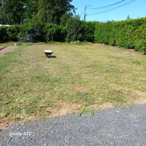 Photo de galerie - Debroussaillage d un terrain envahi par la végétation.
