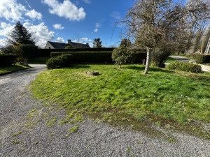 Photo de galerie - Avant la tonte de pelouse 