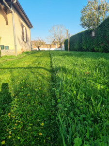 Photo de galerie - Avant-après 