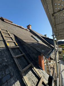 Photo de galerie - Couverture - Toiture