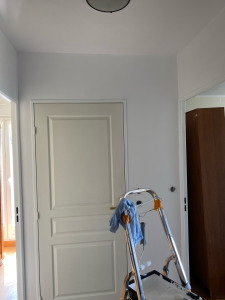 Photo de galerie - Peinture intérieur plafond mur et porte 