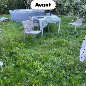 Photo de galerie - Tonte et Desherbage