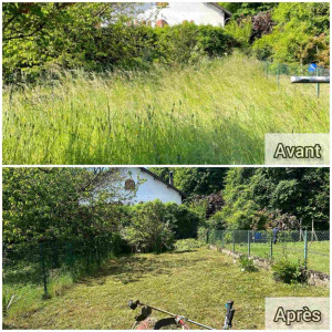 Photo de galerie - Tonte de pelouse - Débroussaillage