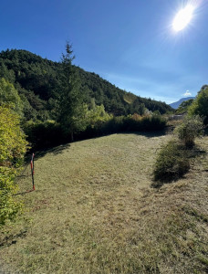 Photo de galerie - Débroussaillage 