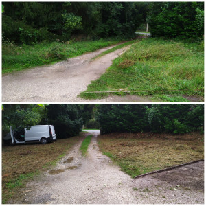 Photo de galerie - Tonte de pelouse - Débroussaillage