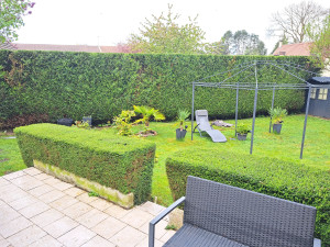 Photo de galerie - Tonte et taille de différentes haies 