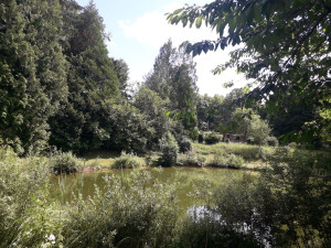 Photo de galerie - Debroussallage autour du lac