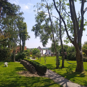 Photo de galerie - Entretien régulier d'espace vert 