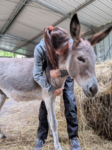 Photo de galerie - Bénévole en parc animalier et association de protection animale + formation en médiation par l'animal, je touche le domaine animalier depuis plus de 6ans 