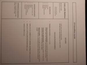 Photo de galerie - Voici mon cv