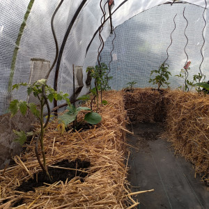 Photo de galerie - Installation potager écologique 